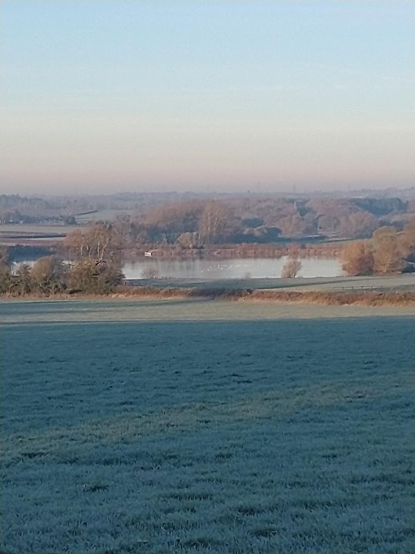 Frosty field
